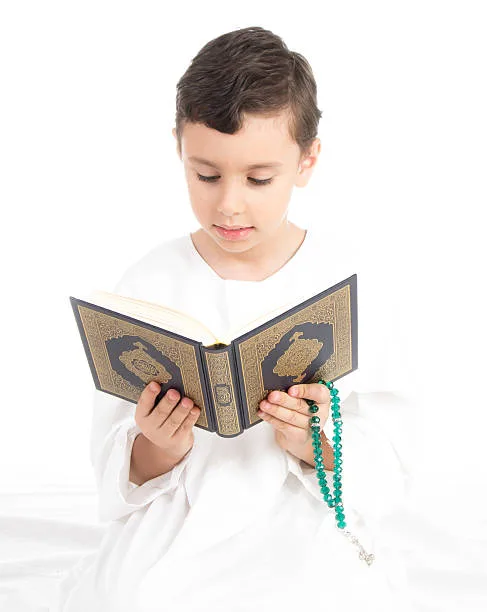 istockphoto 505625470 612x612 1