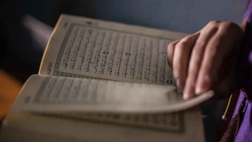 online Arabic certification courses